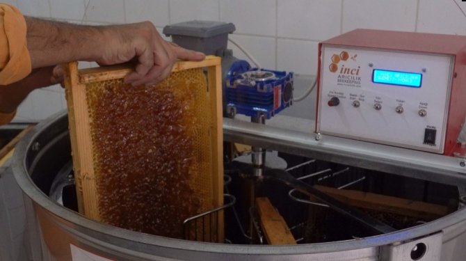 Coğrafi işaretli Bayburt Balının sağım sezonu başladı