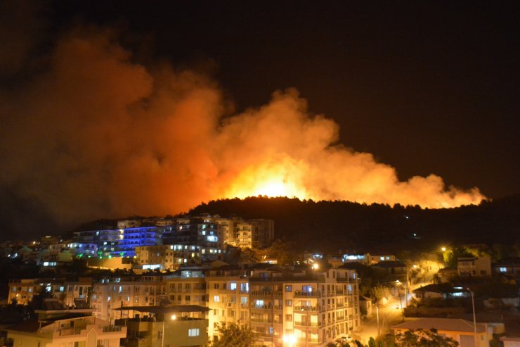 Dikili ilçesinde, Botanik Bahçesi'nin zeytinlik ve çamlık alanında yangın çıktı