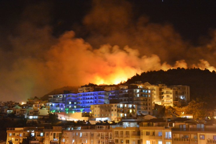 Dikili ilçesinde, Botanik Bahçesi'nin zeytinlik ve çamlık alanında yangın çıktı