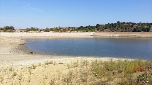 Suyu boşaltılan göletten 4 kafatası ile kemikler çıktı