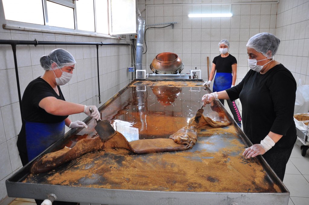 Koronavirüsün şifası 480 yıllık mesir macunu