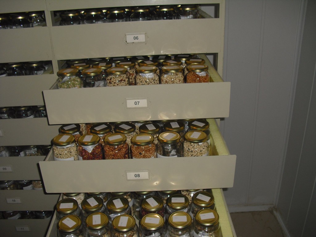 Bakan Pakdemirli'den 'Gen Bankası' açıklaması