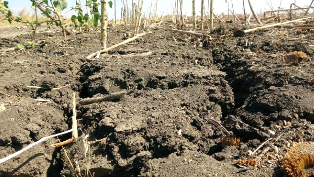 Edirne'de son 91 yılın en kurak yılı