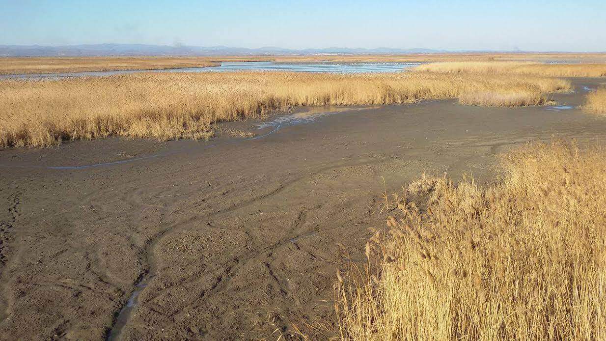 Edirne'de son 91 yılın en kurak yılı