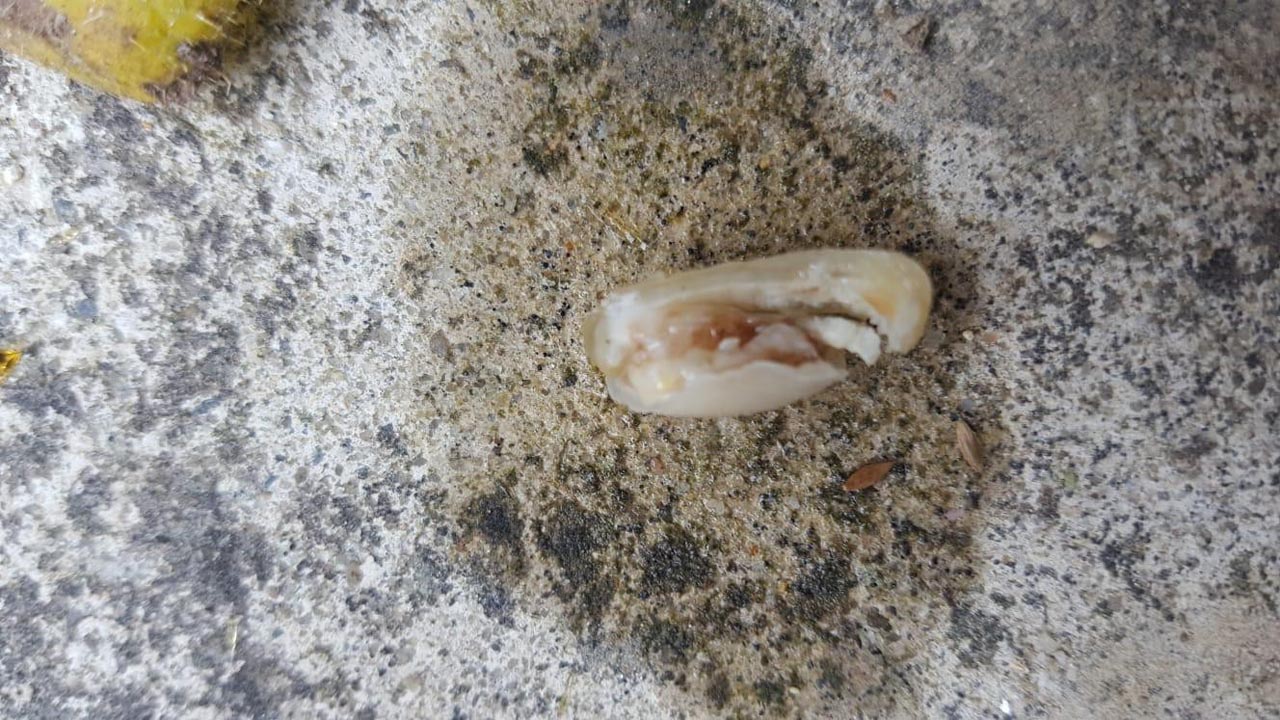 Tekirdağ'daki fabrikada skandal olay! Aşçının kopan parmağı işçinin yemeğinden çıktı