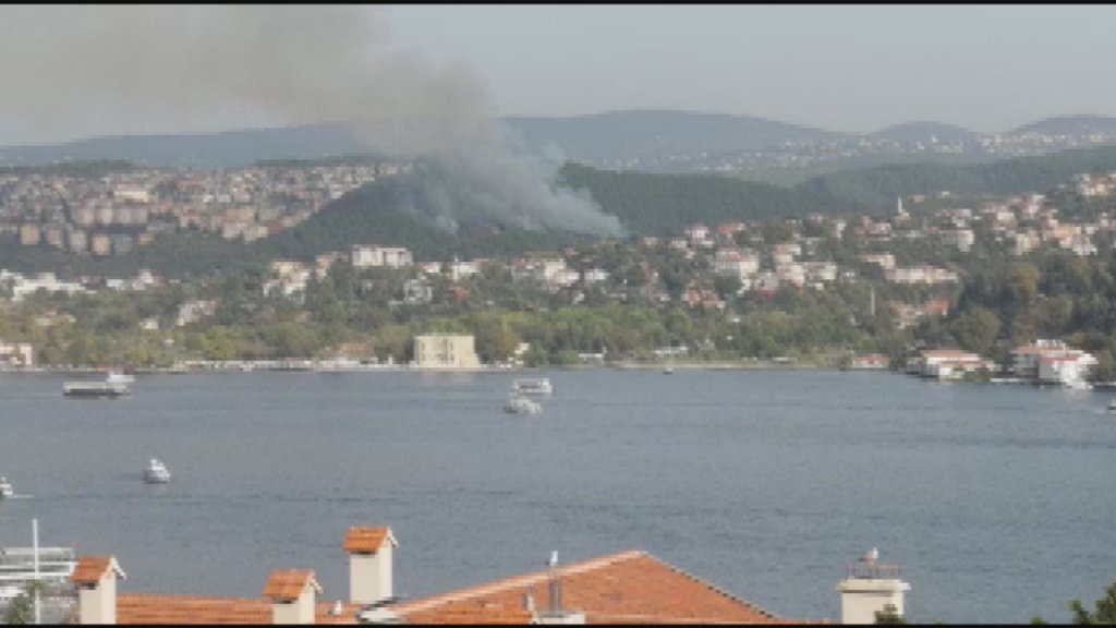 Beykoz'da ormanlık alanda yangın