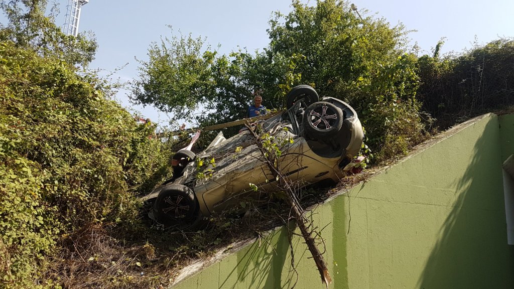 Sakarya'da kaza: Hafif ticari aracı ağaç kurtardı