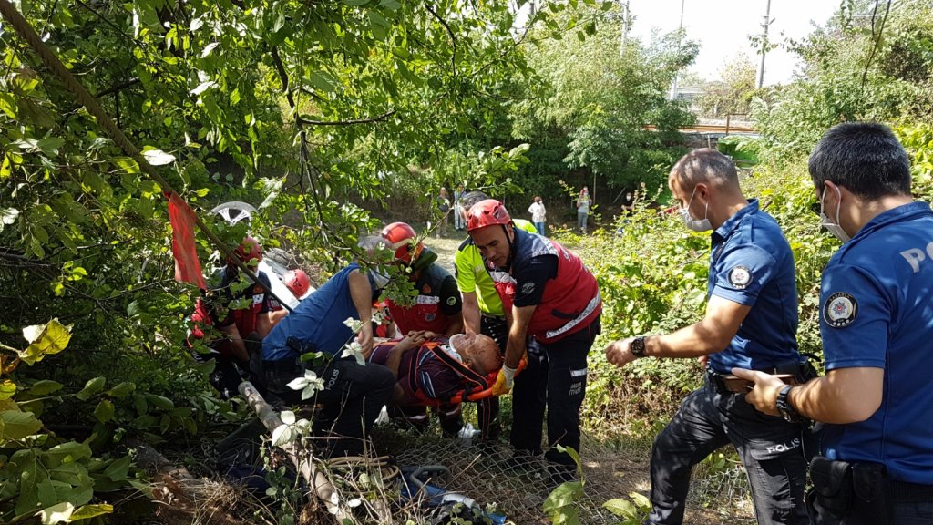Sakarya'da kaza: Hafif ticari aracı ağaç kurtardı