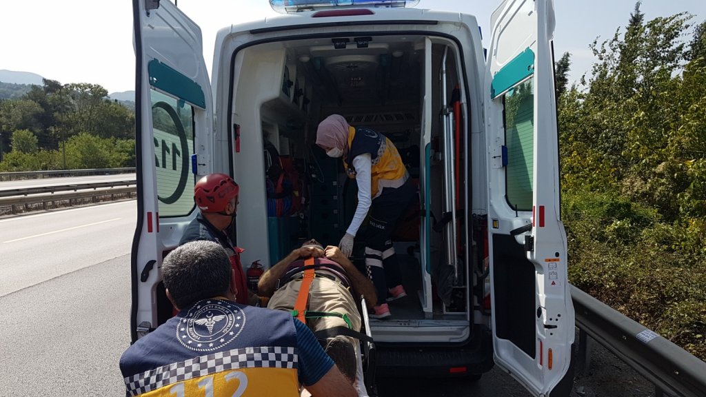 Sakarya'da kaza: Hafif ticari aracı ağaç kurtardı