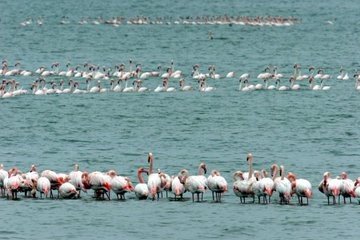 Kesin Korunacak Hassas Alan statüsüne alınan bölgeler paylaşıldı.