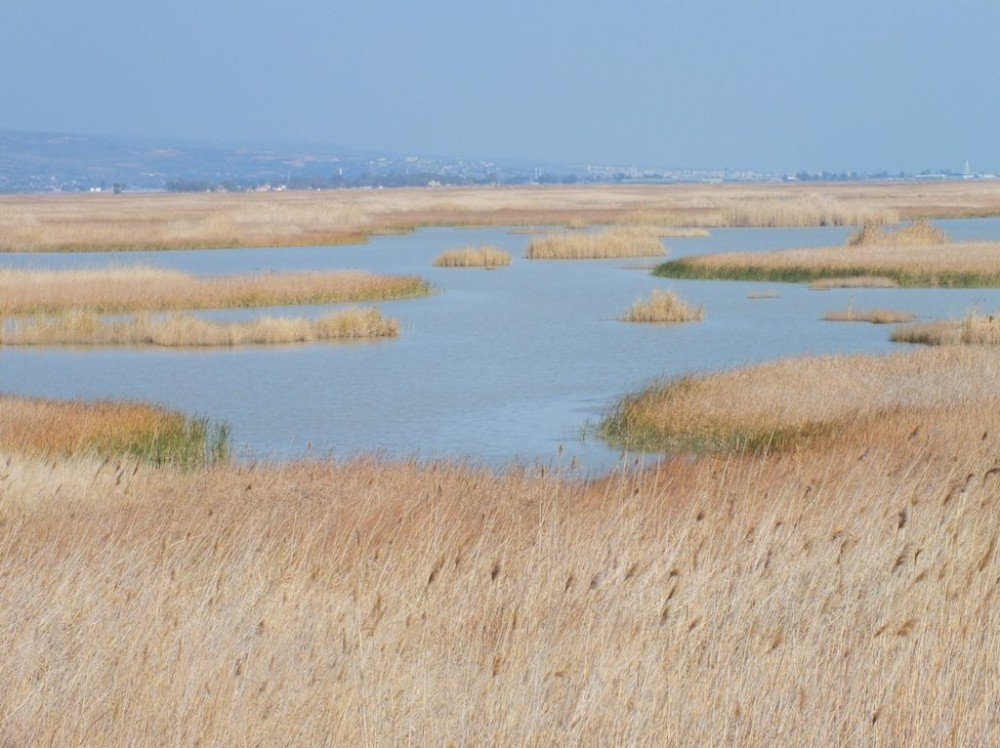 Kesin Korunacak Hassas Alan statüsüne alınan bölgeler paylaşıldı.