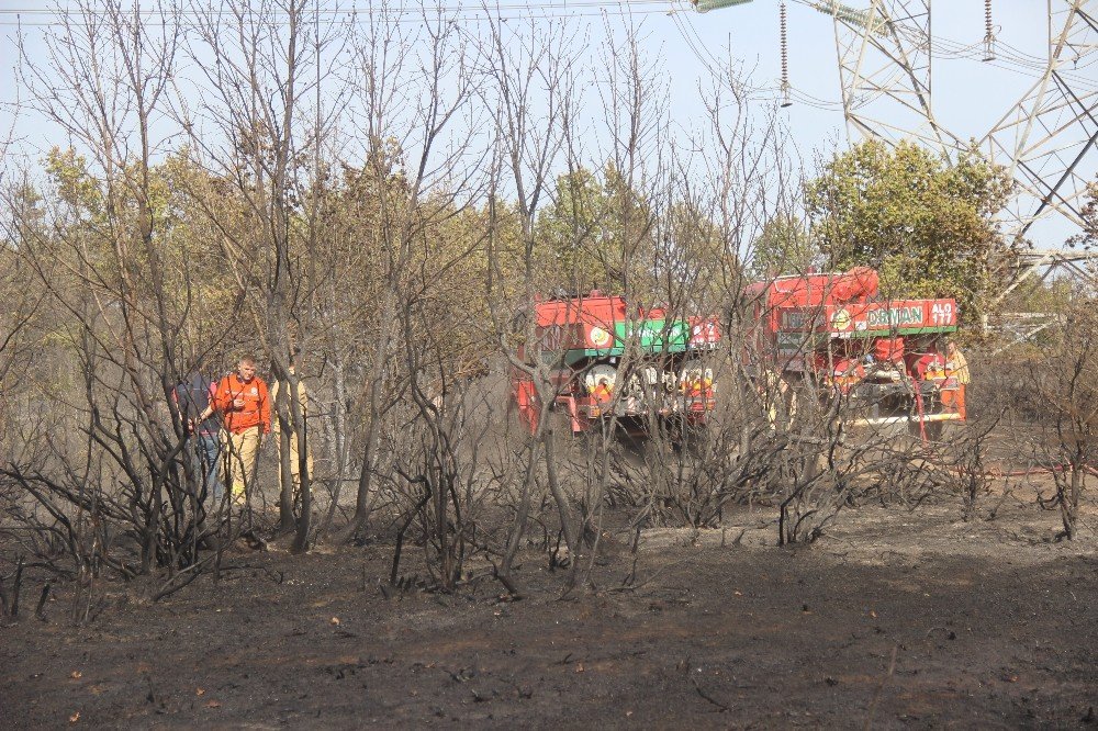 Kocaeli'de, ormanlık alanda yangın