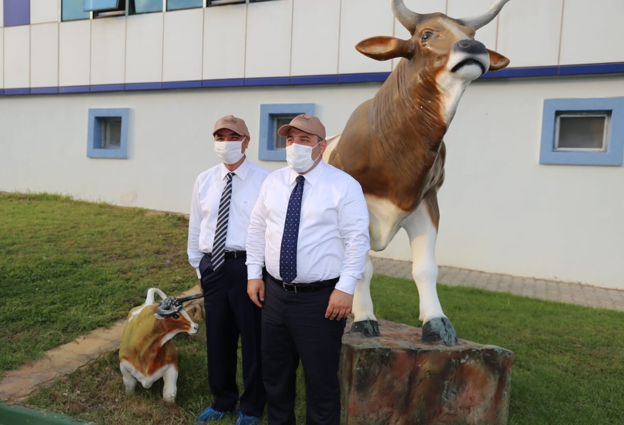 Bakan Varank'tan koronavirüs aşısı müjdesi! Son noktaya gelindi