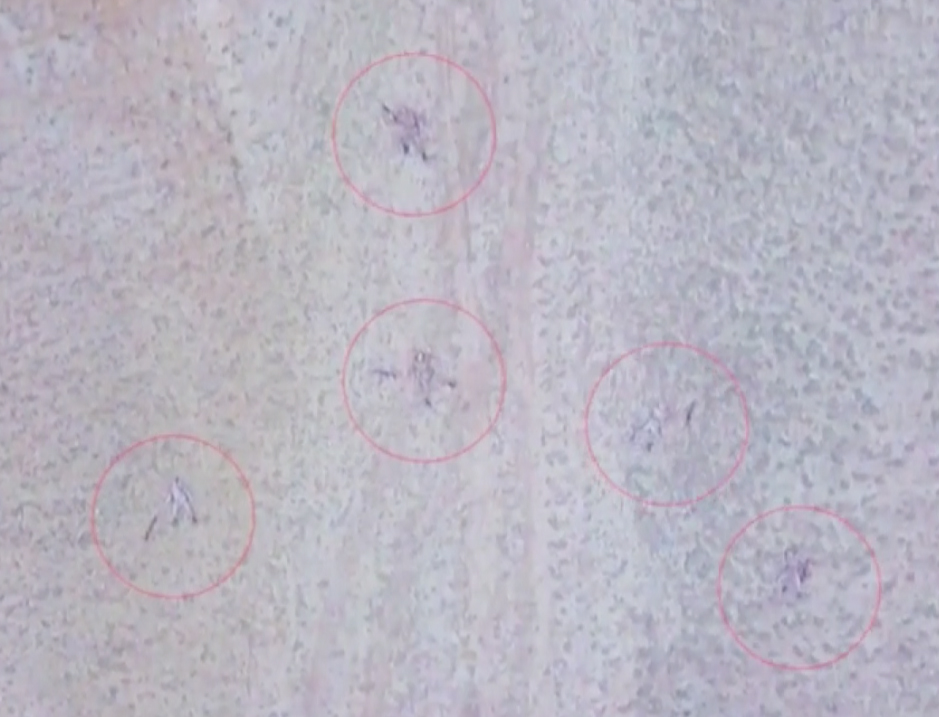 Aliyev imzaladı! Azerbaycan'da kısmi seferberlik ilan edildi