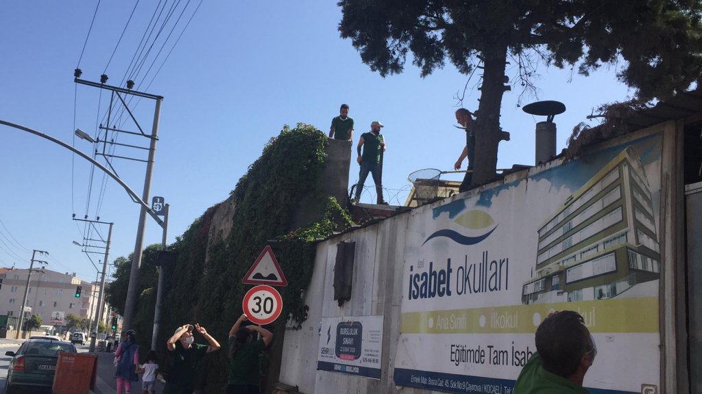 Barınaktan kaçan yavru maymun elektrik akımına kapılarak öldü