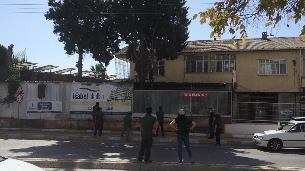 Barınaktan kaçan yavru maymun elektrik akımına kapılarak öldü