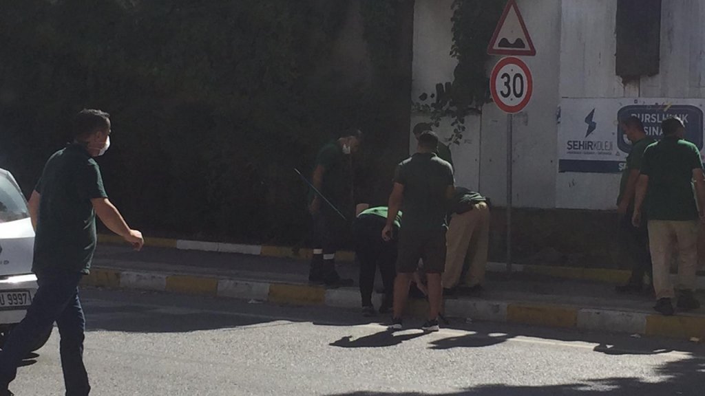 Barınaktan kaçan yavru maymun elektrik akımına kapılarak öldü