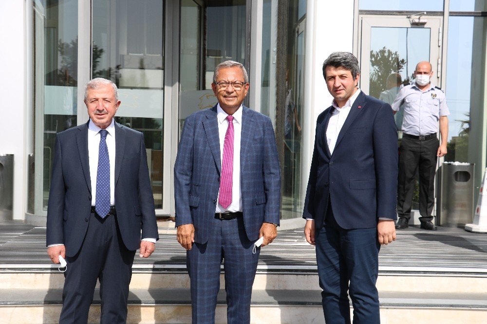 Kipaş’tan 500 bin fidan dikimi