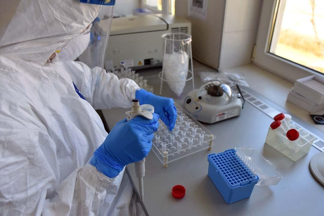 Ege Üniversitesi'nden Azerbaycan'a bilimsel ve akademik destek