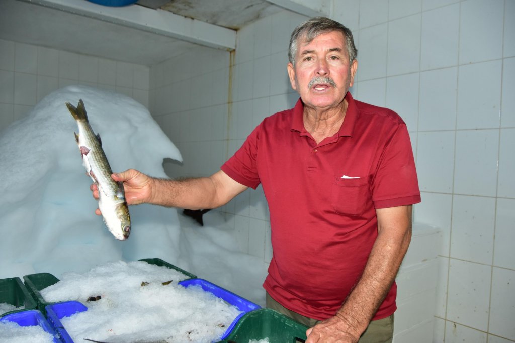 Dalyan kefaline bir talep de Dubai'den