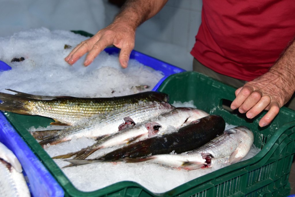 Dalyan kefaline bir talep de Dubai'den