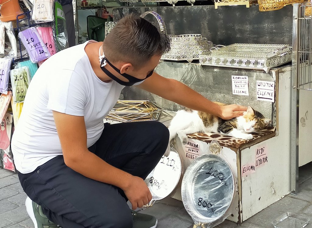 Kedisini uyandırmasınlar diye not yazdı: Korona pozitif, elleme