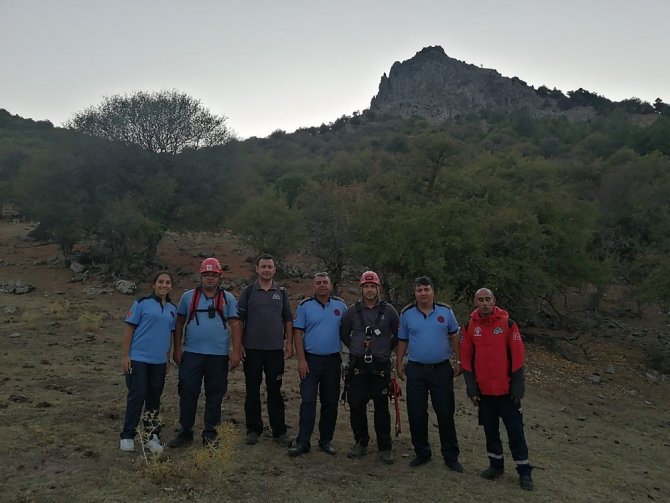 Bir garip olay: "Kaybolan 5 keçi yerine ekipler tarafından muhtara, 7 keçi teslim edildi"