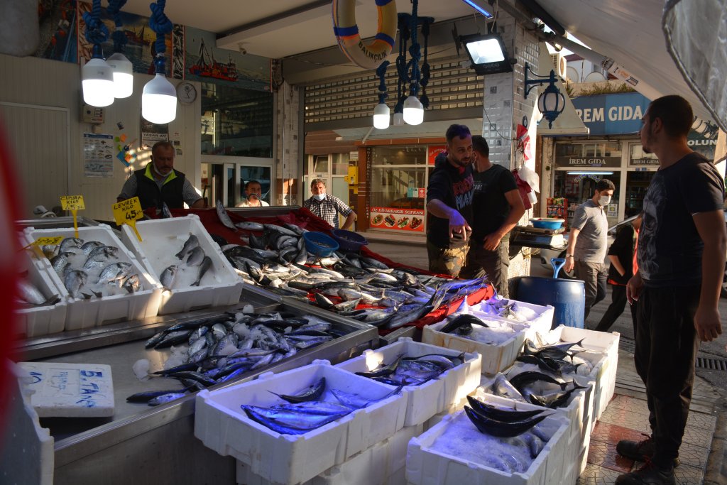 Sinop'ta palamudun fiyatı görenleri sevindirdi