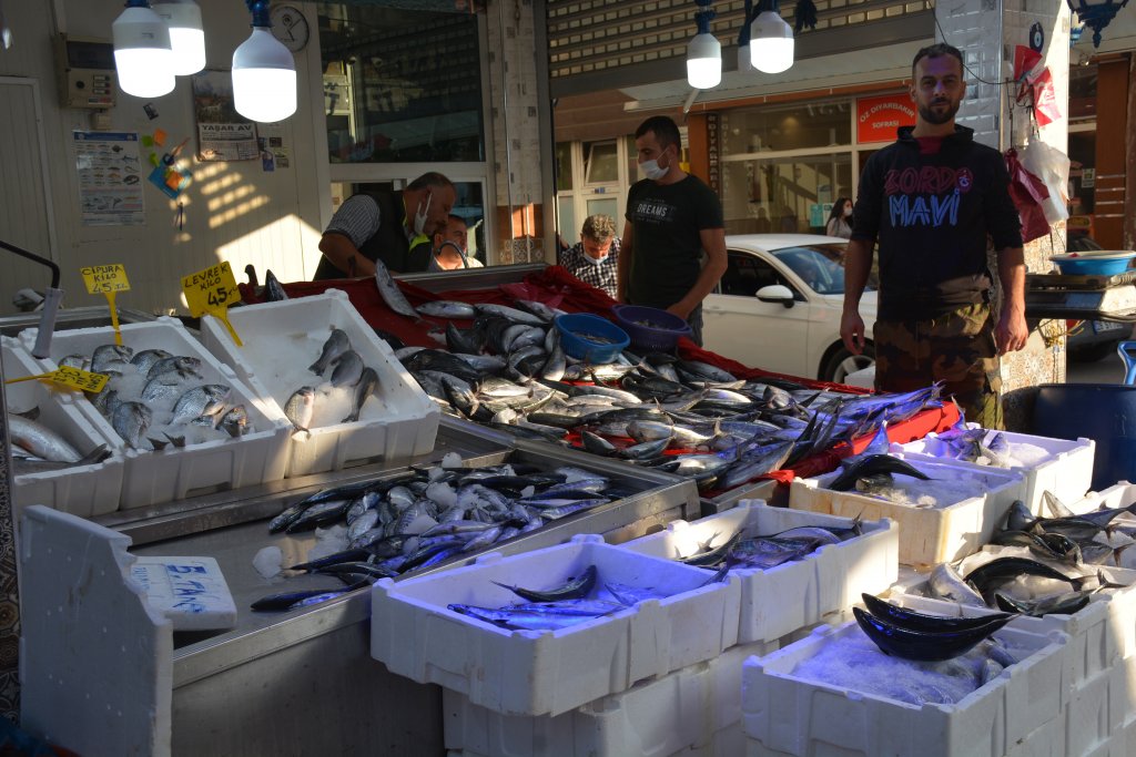 Sinop'ta palamudun fiyatı görenleri sevindirdi