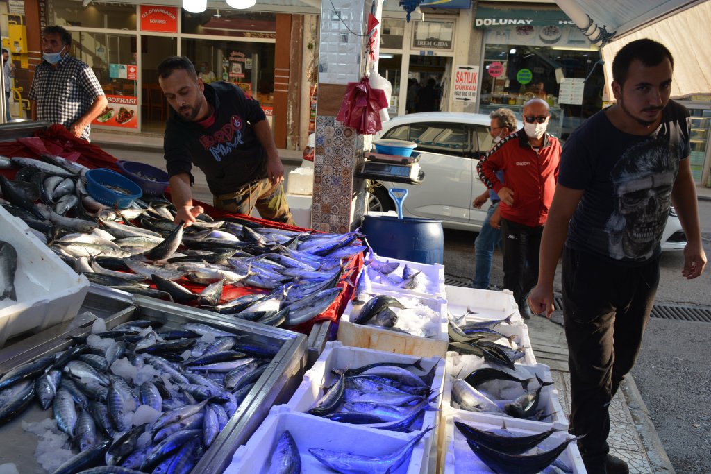 Sinop'ta palamudun fiyatı görenleri sevindirdi