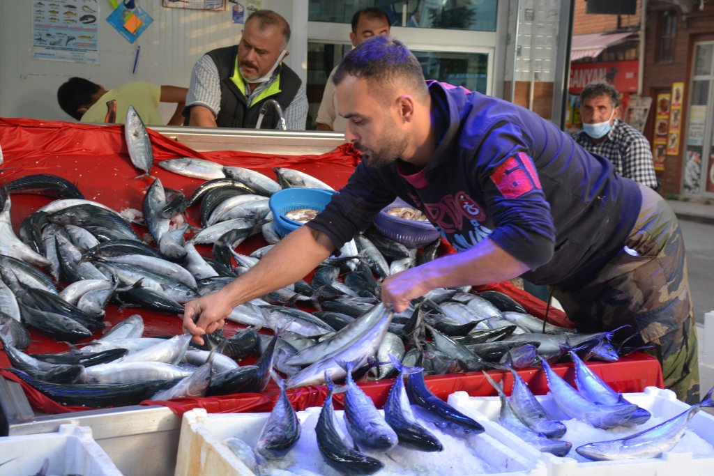 Sinop'ta palamudun fiyatı görenleri sevindirdi
