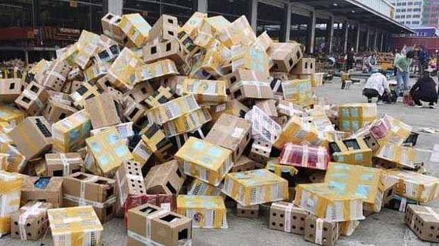 Çin'de 5 bin hayvan aç bırakılarak telef edildi 