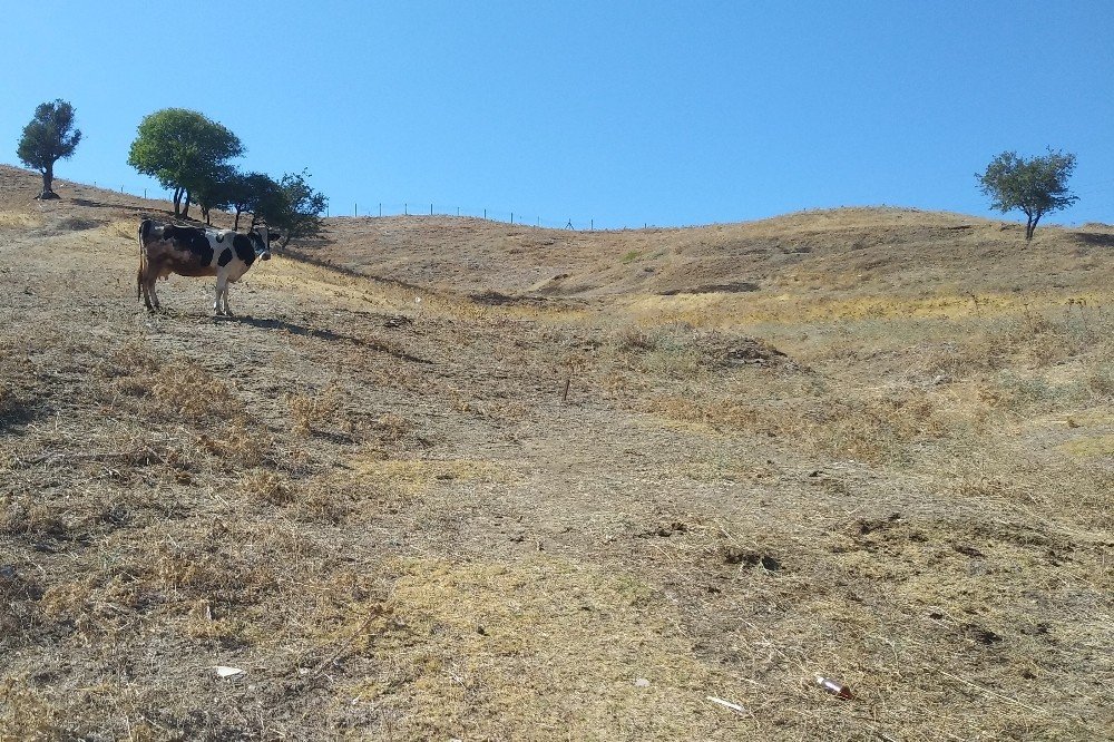 İzmir'in Çernobili'nde yangın durmuyor