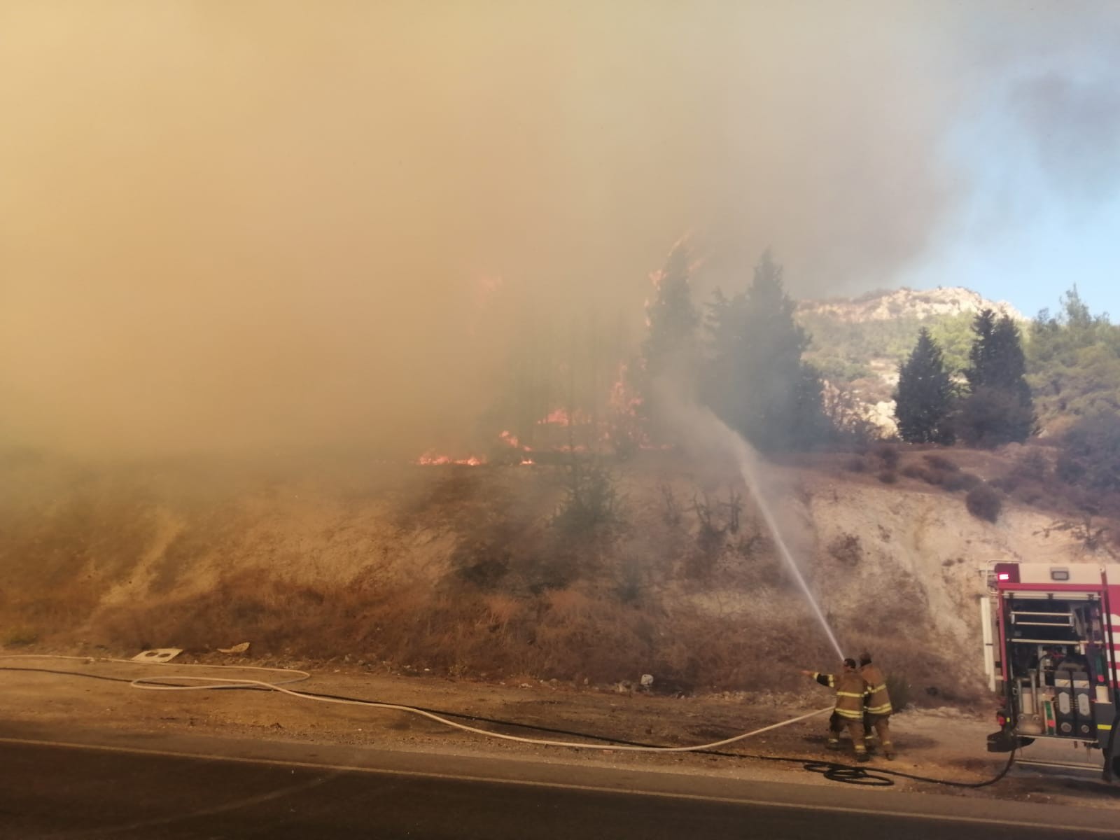 Son dakika | İzmir Aliağa'da orman yangını