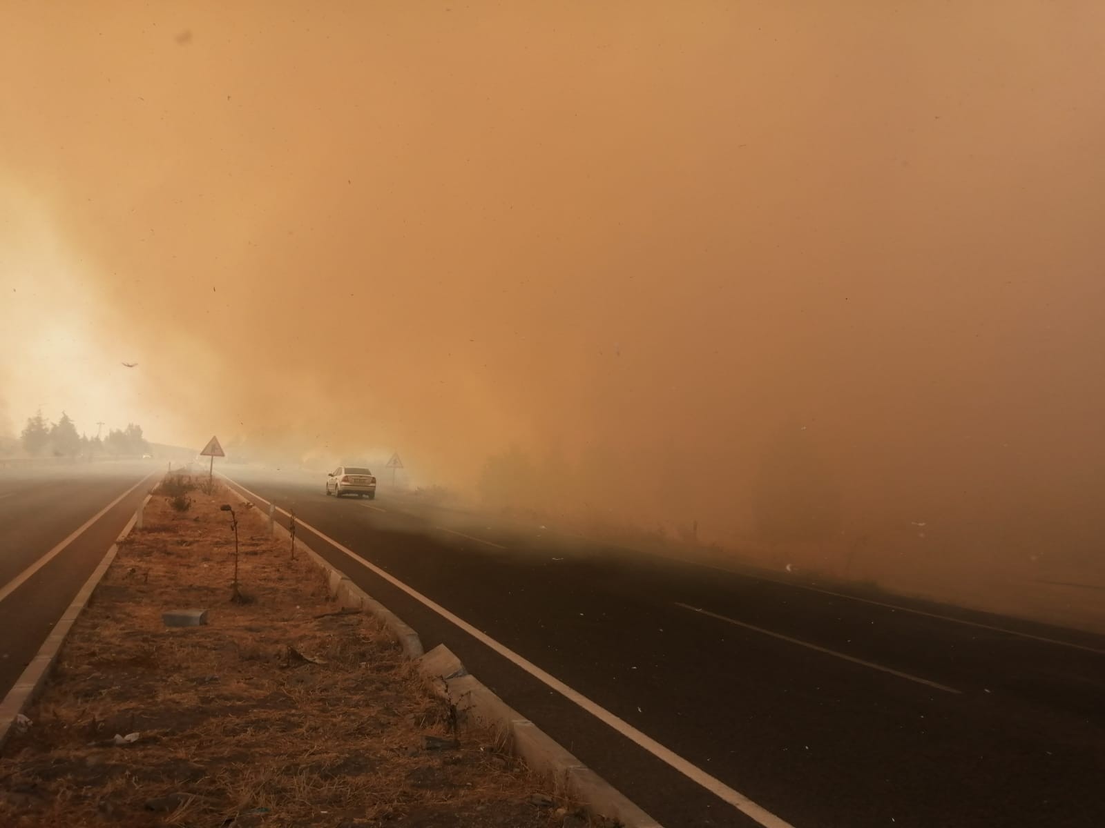 Son dakika | İzmir Aliağa'da orman yangını