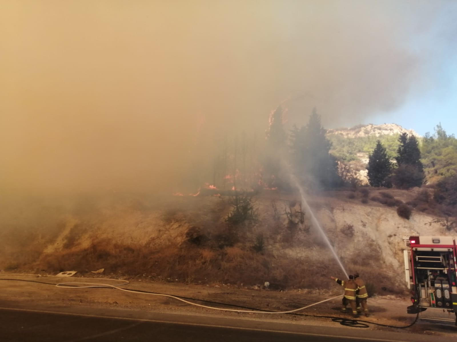 Son dakika | İzmir Aliağa'da orman yangını
