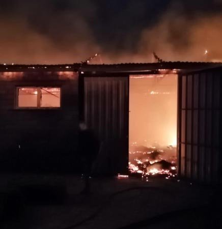 Kütahya'da ahır yangını: 47 koyun telef oldu