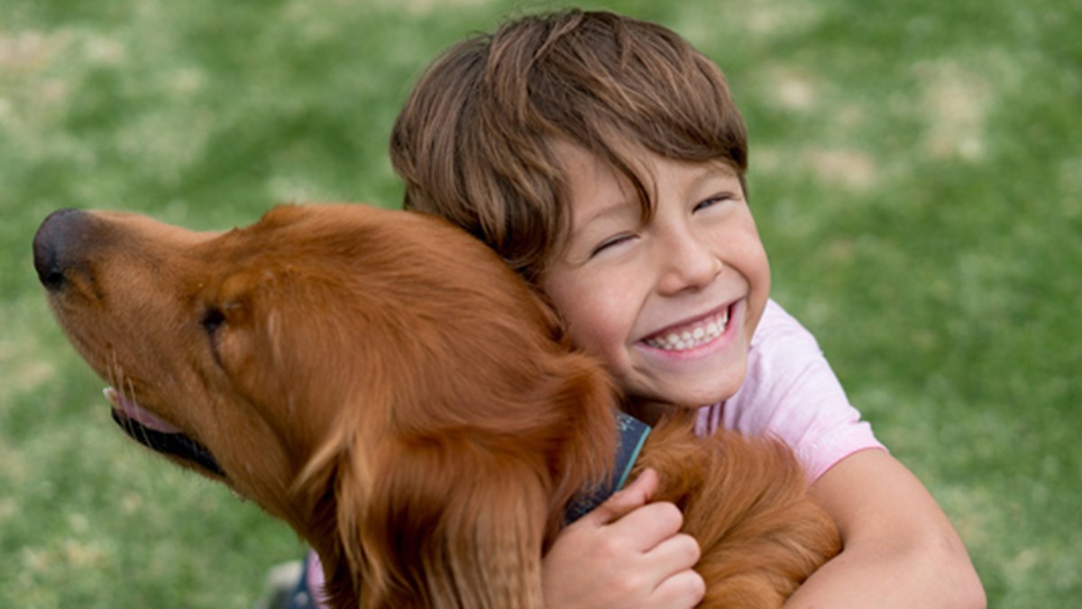 HAYTAP Yönetim Kurulu Başkanı Şenpolat: Tasa olmazsa yasa da olmaz!