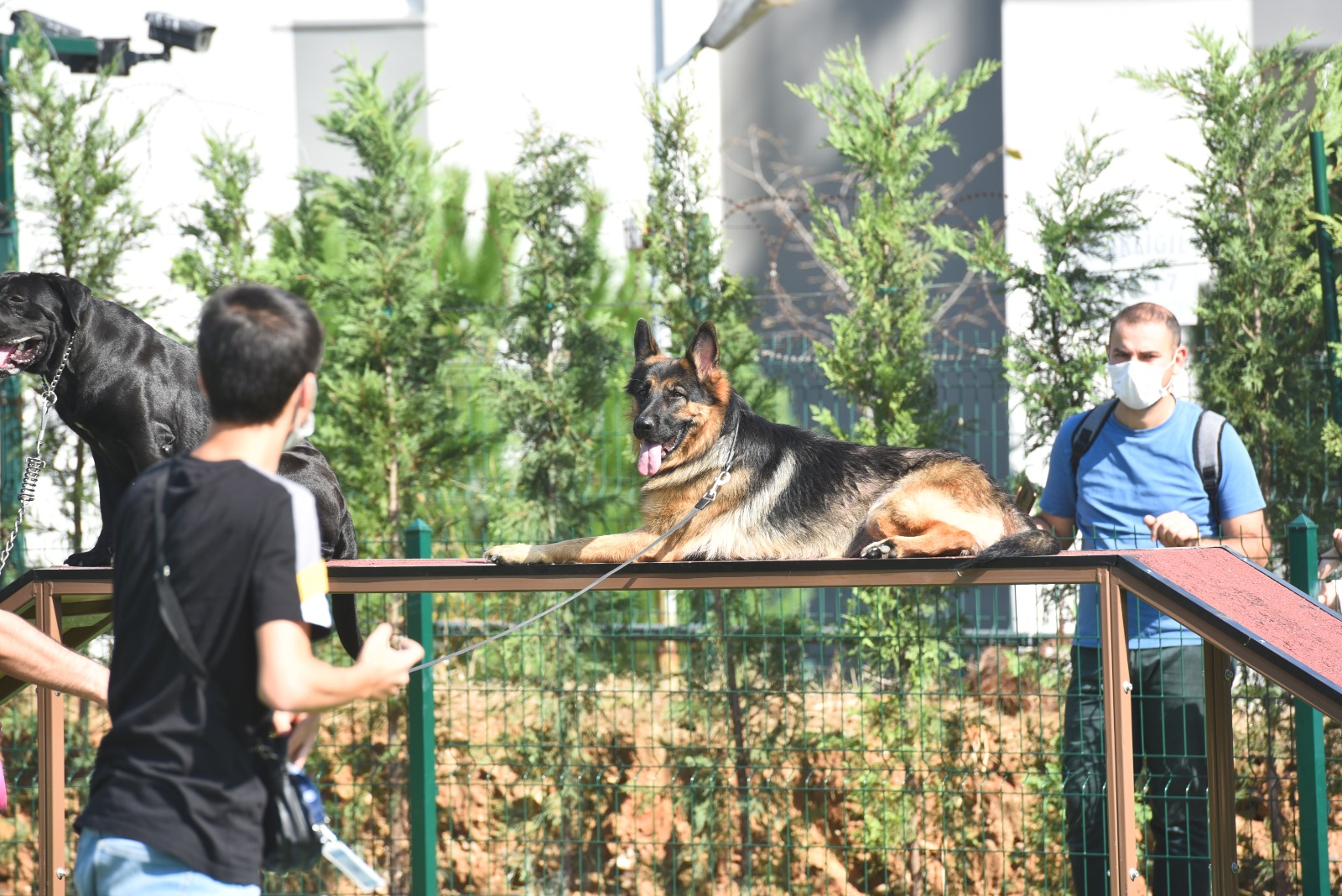 Pendik'te Neşeli Patiler Köpek Eğitim Parkı hizmete girdi!