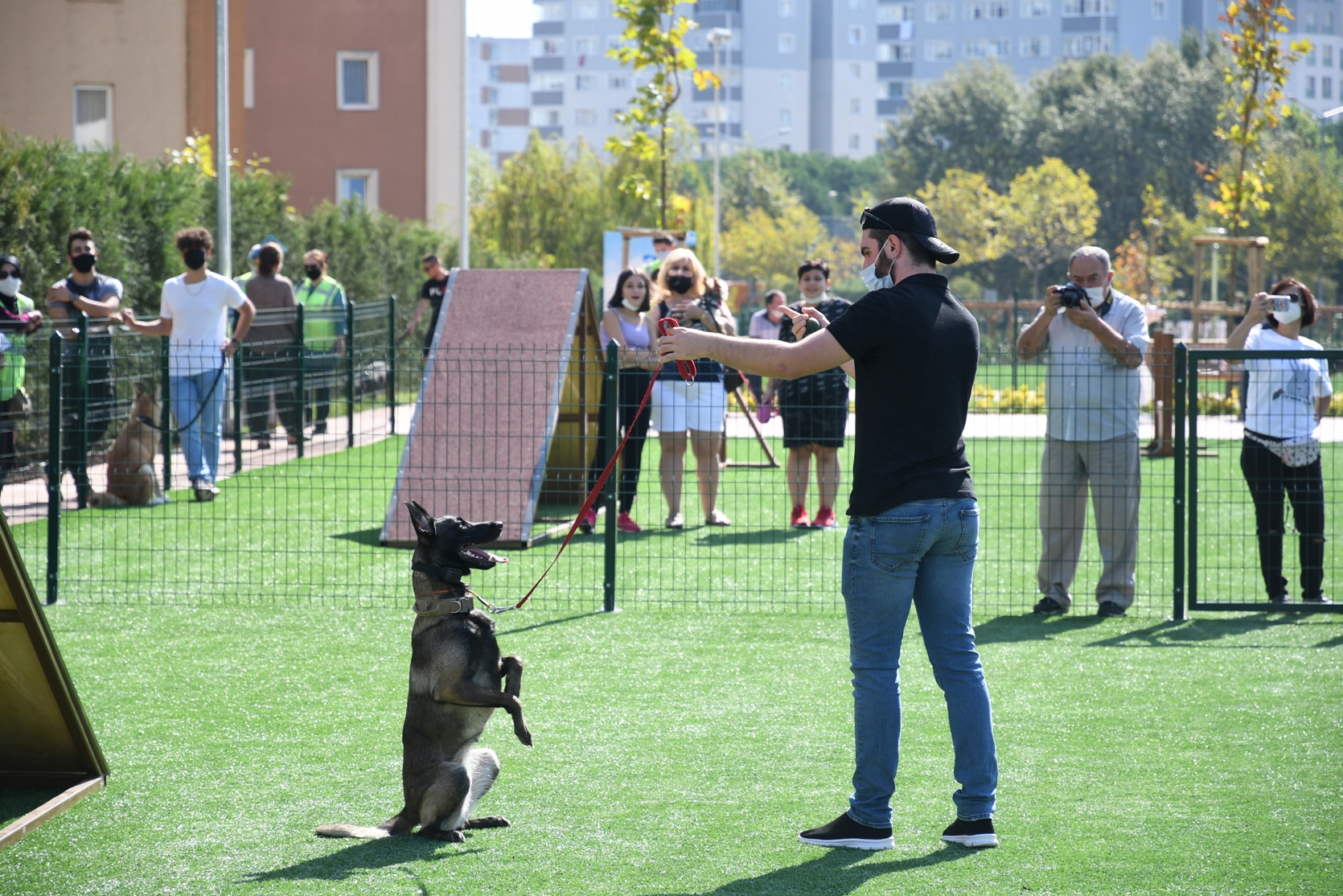 Pendik'te Neşeli Patiler Köpek Eğitim Parkı hizmete girdi!