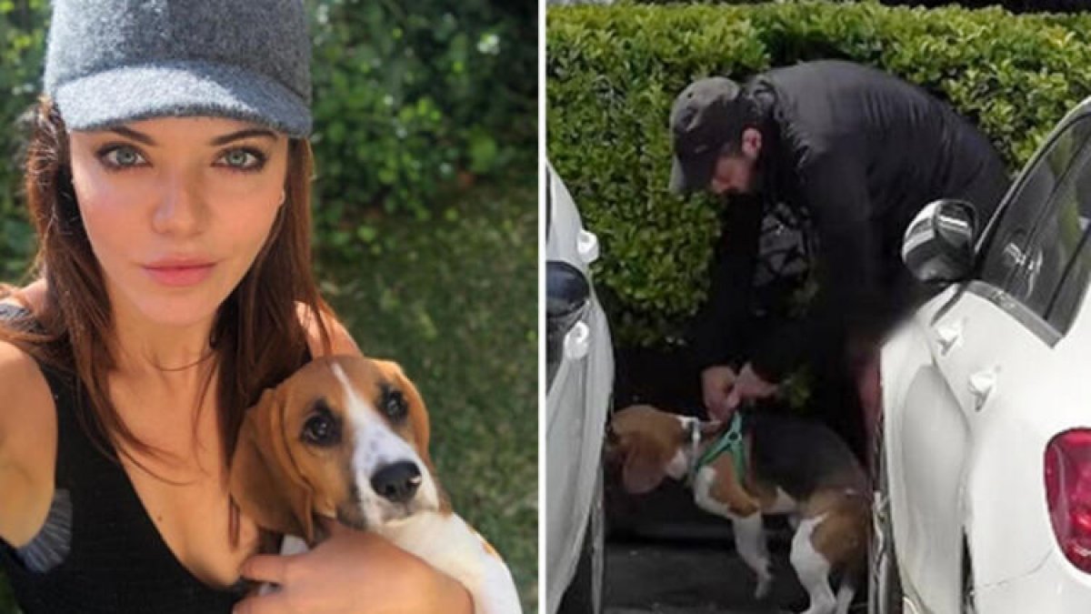 Kerem Alışık ve Hilal Altınbilek birlikte ev tuttu!