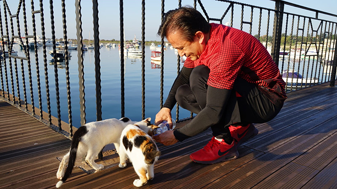 Tuzla Belediyesi'nden sokak hayvanlarına tam destek!