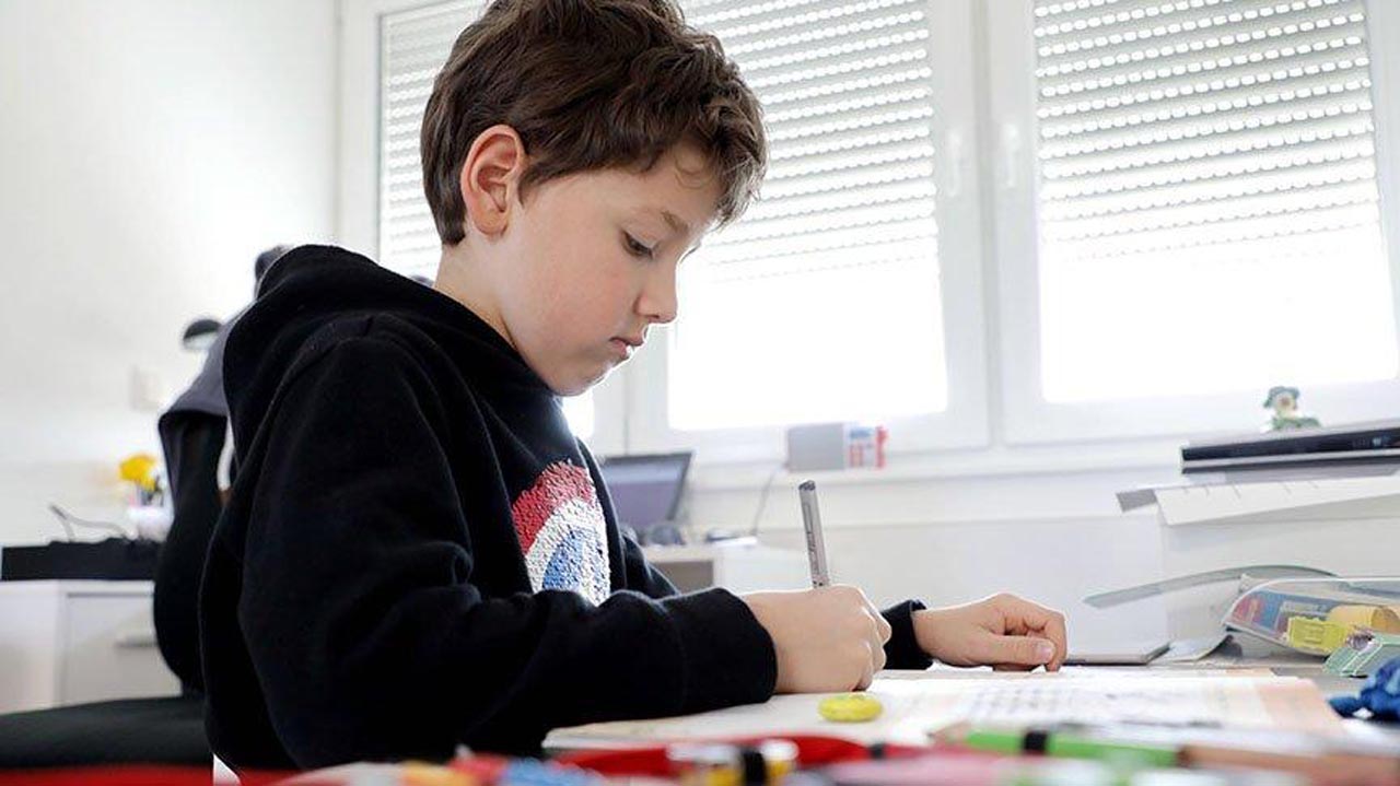 MEB kazanım kavrama testleri görüntüleme ekranı | 5, 6, 7 ve 8'inci Ortaokul sınıf kazanım testleri