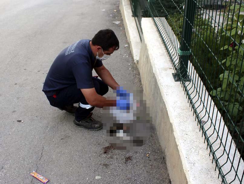 Kırıkkale'de dehşet: Yavru kedi, kafası ve ayakları kopmuş halde bulundu