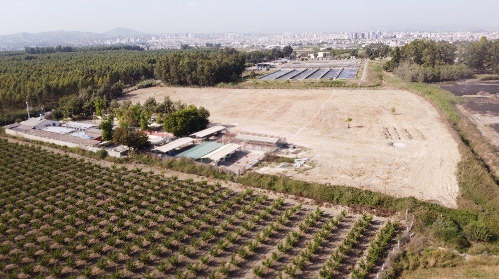 Tarsus Belediyesi'nden örnek hareket: Hayvan mezarlığı için çalışmalara başlandı