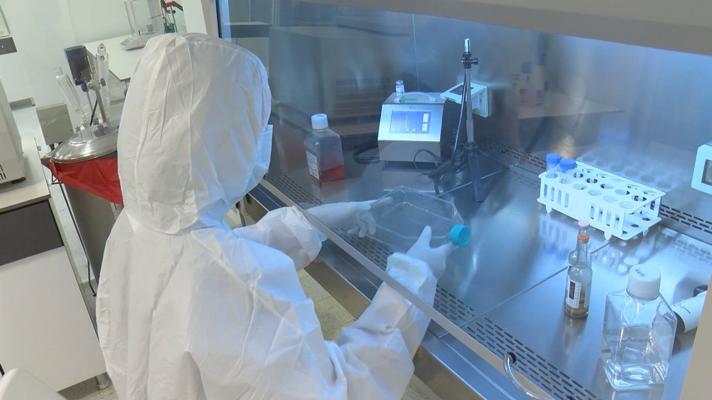 Ölümcül koronavirüs hastalarına yeni tedavi yöntemi: Yeni doğan göbek kordon kanı