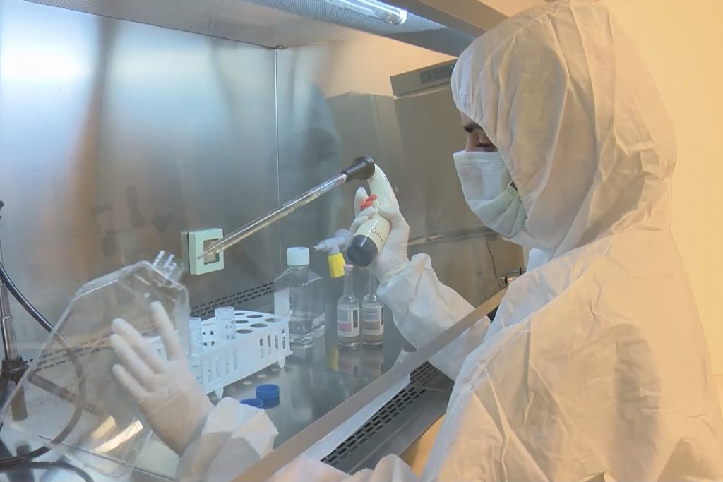 Yerli koronavirüs ilacında son adım