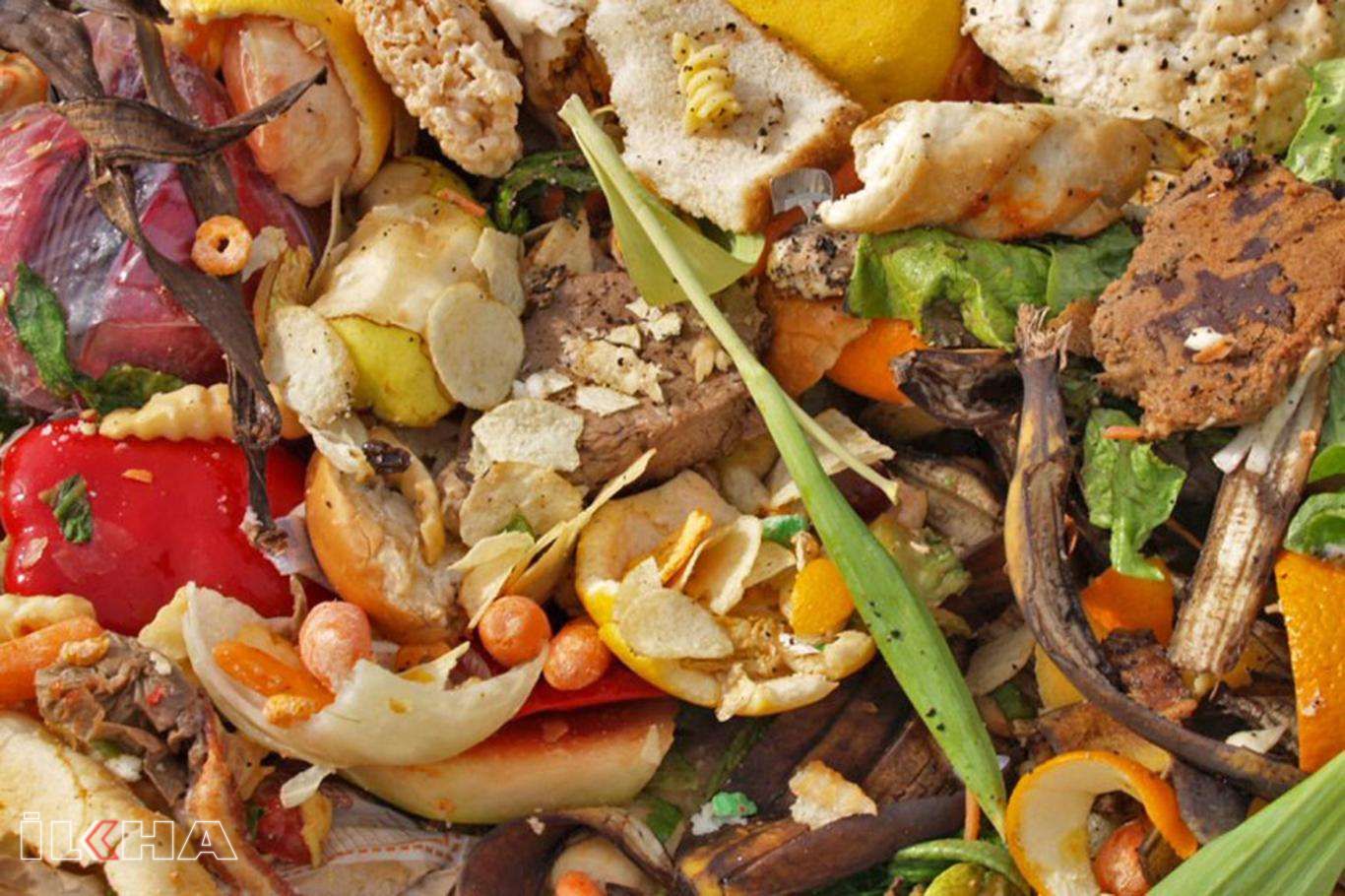 16 Ekim Dünya Gıda Günü nedir? Ne zamandan beri kutlanıyor? Dünya Gıda Günü mesajları