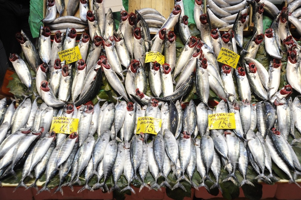 Tezgahlarda palamut bolluğu devam ediyor