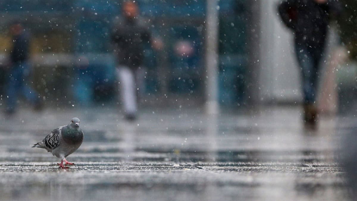 Meteoroloji'den o bölgeler için yağış uyarısı! 21 Ekim bugün hava durumu nasıl?